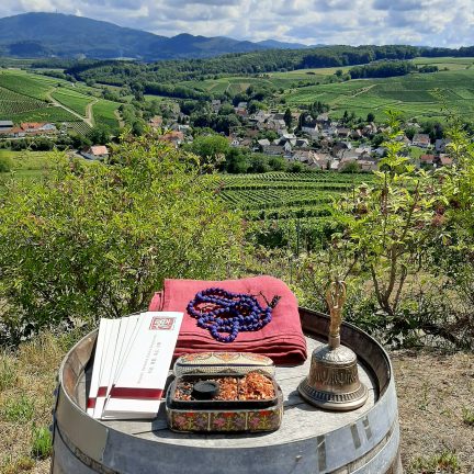 Ihre Hochzeit in Freiburg mit Hochzeitsredner Zen Meister Vater Reding